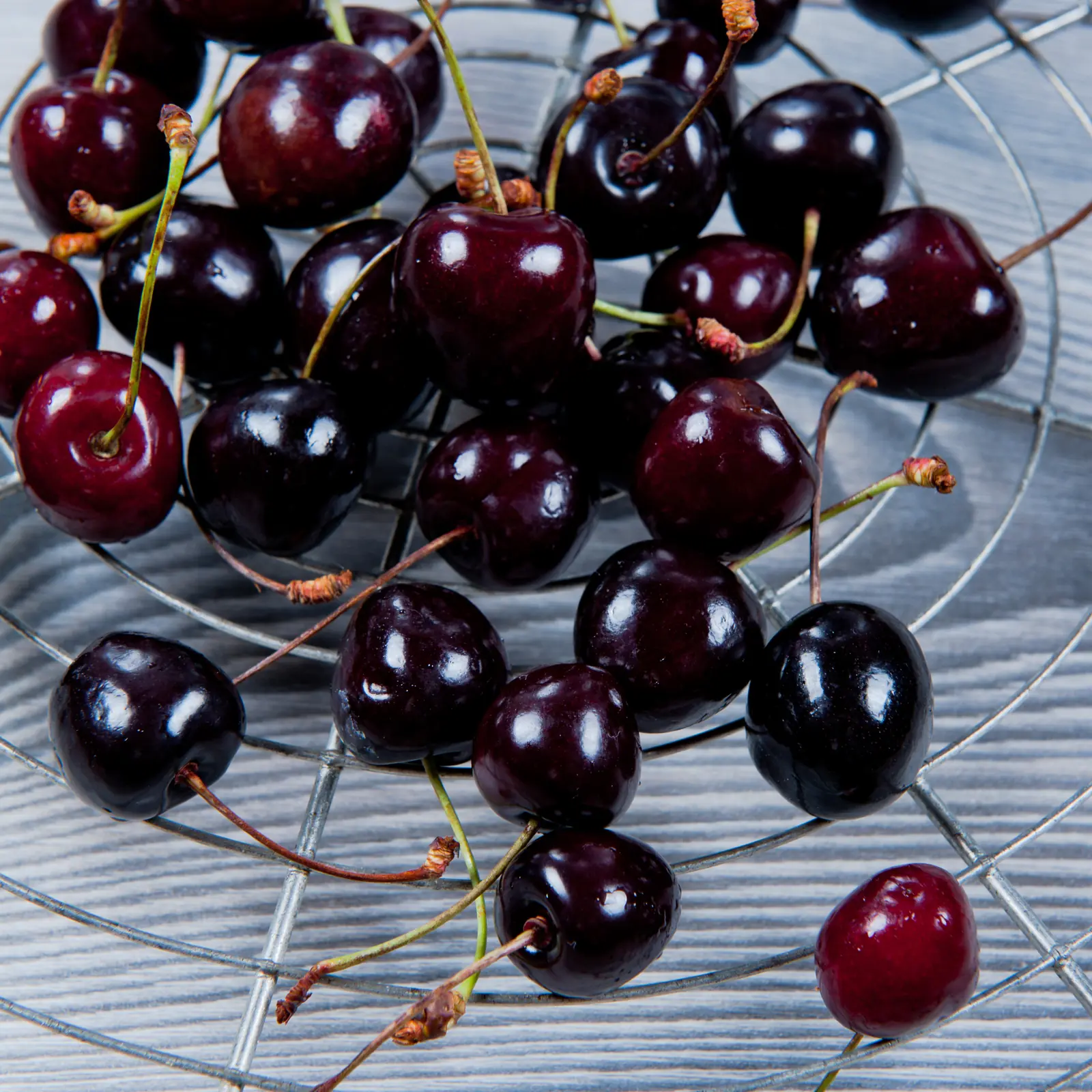 Cherry Tree (Fruiting) plant photo