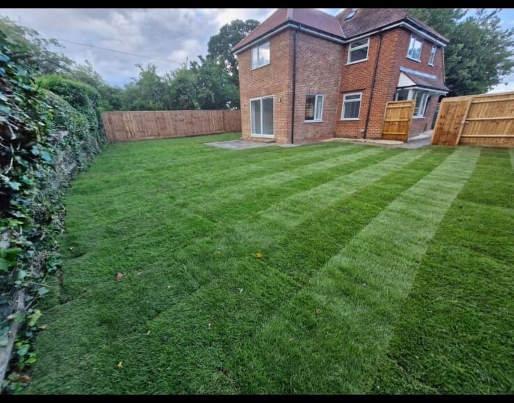 The lawn after CGM preparation and turf installation