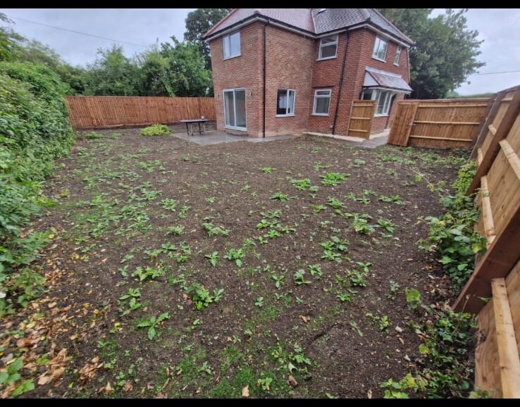 The same garden before lawn recovery