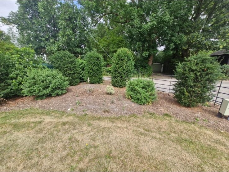 Before photograph